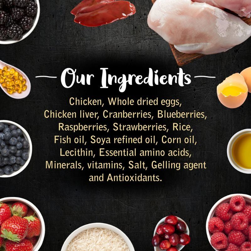Drools Wet Food for Puppies - Gourmet Bites - Vikas Khanna Recipe - Very Berry Chicken - Chunks in Gravy - Ingredients