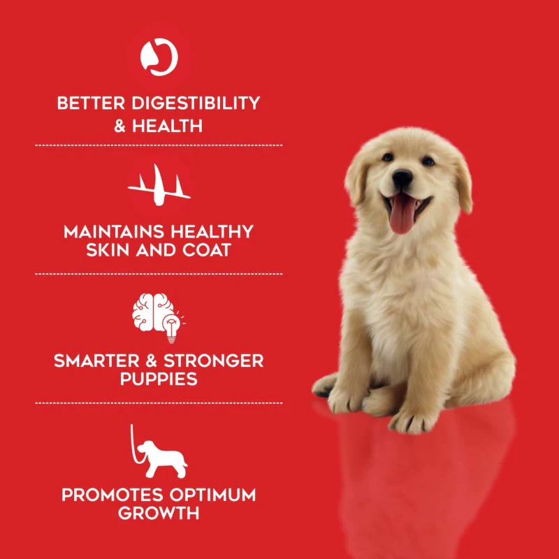 Drools Dry Food for Puppies Starter - Chicken - Benefits