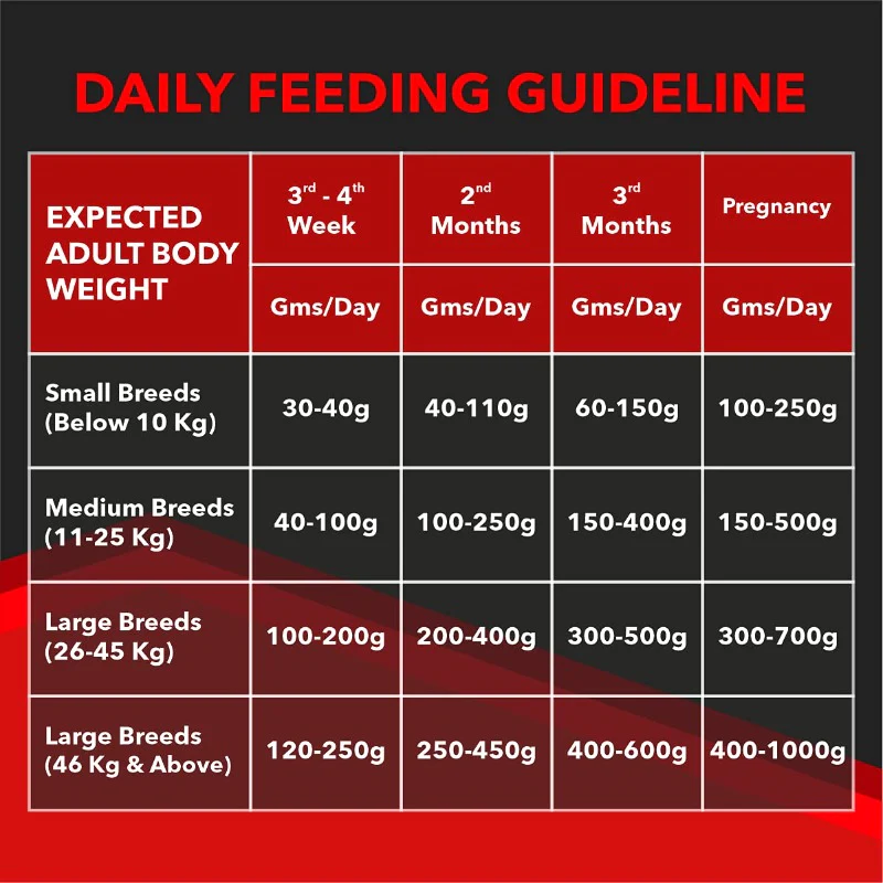Drools Dry Food – Focus Starter Super Premium (Chicken) - Daily feeding guideline