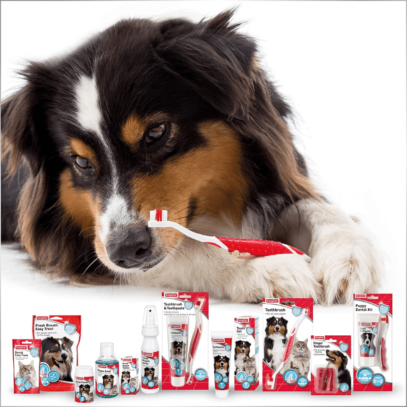 Beaphar Toothpaste - Products