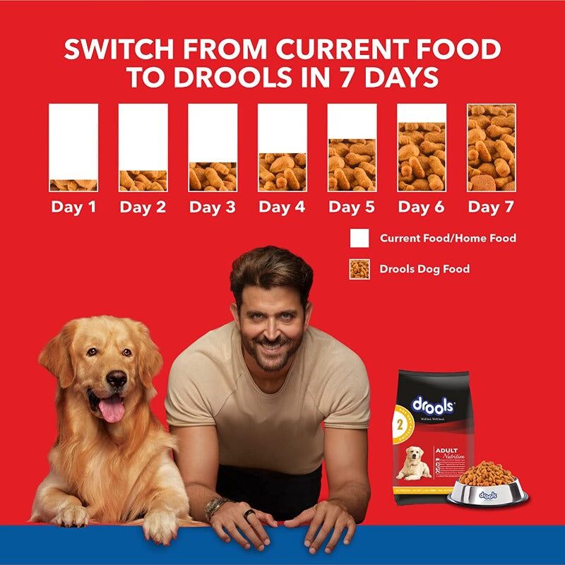 Drools Dry Dog Food - Chicken and Egg - Information