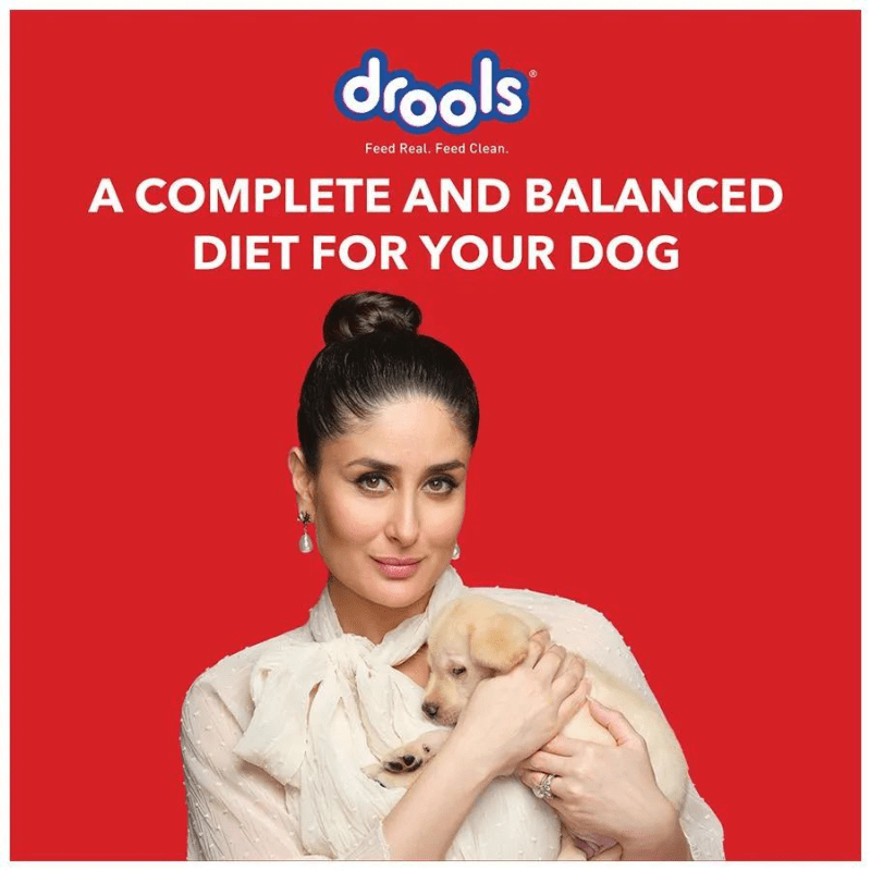 Drools Dry Food for Puppies Starter - Chicken - Information