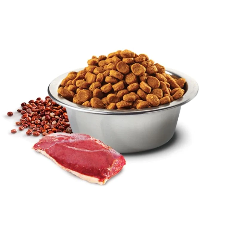Farmina Dry Food - N&D Quinoa Dog Skin & Coat Duck Adult - Dog Food