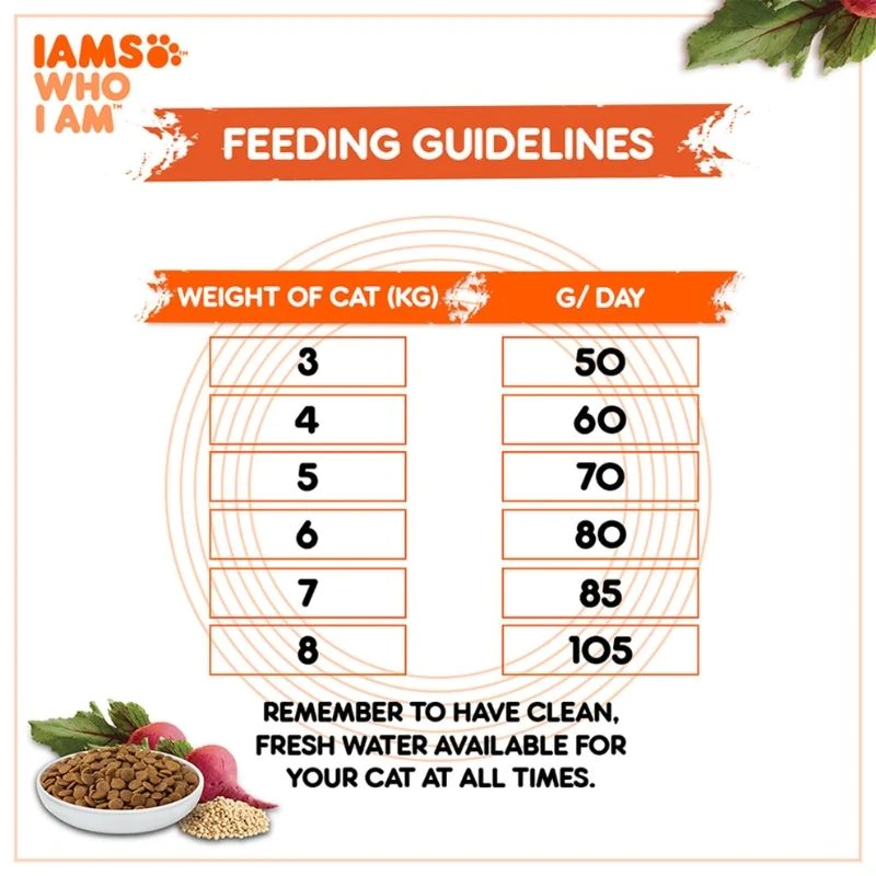 IAMS Dry Cat Food - Chicken - Guidelines