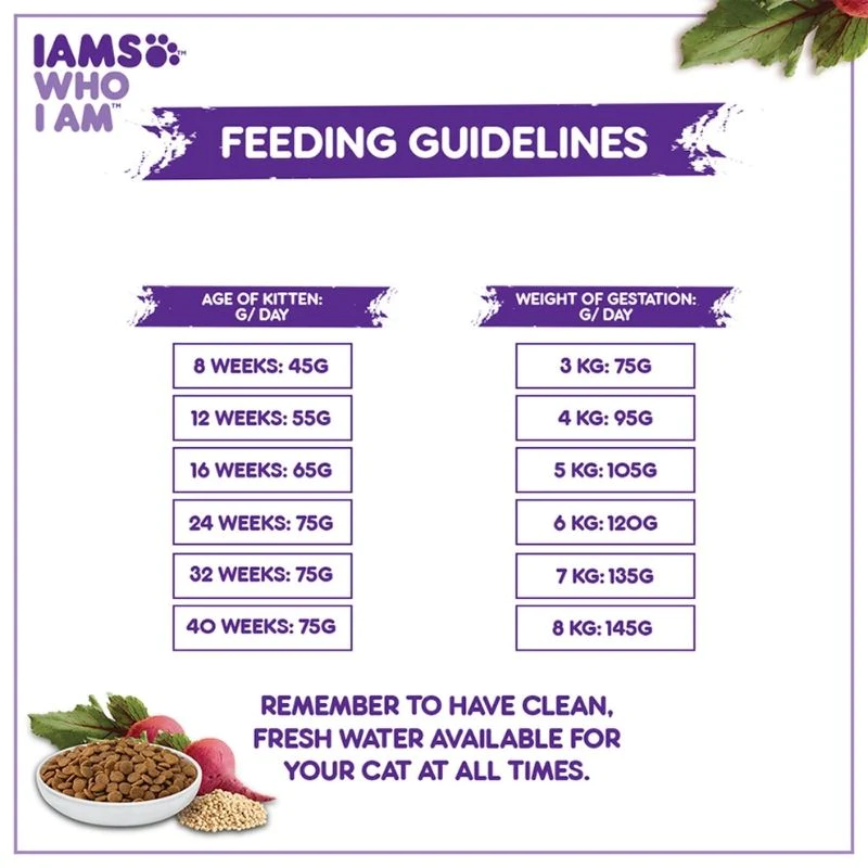 IAMS Dry Food for Mother Cats and Kittens - Chicken - Guidelines