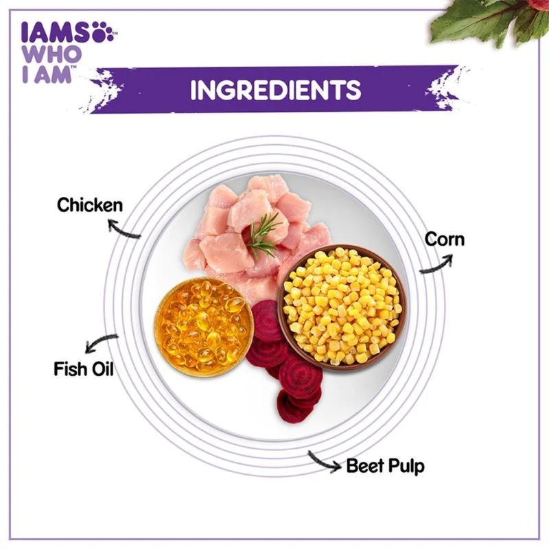 IAMS Dry Food for Mother Cats and Kittens - Chicken - Ingredients