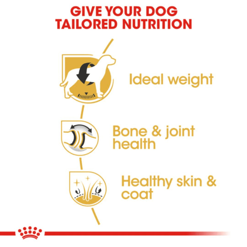 Royal Canin Breed Health Nutrition Labrador Retriever Adult Dry Dog Food - Benefits