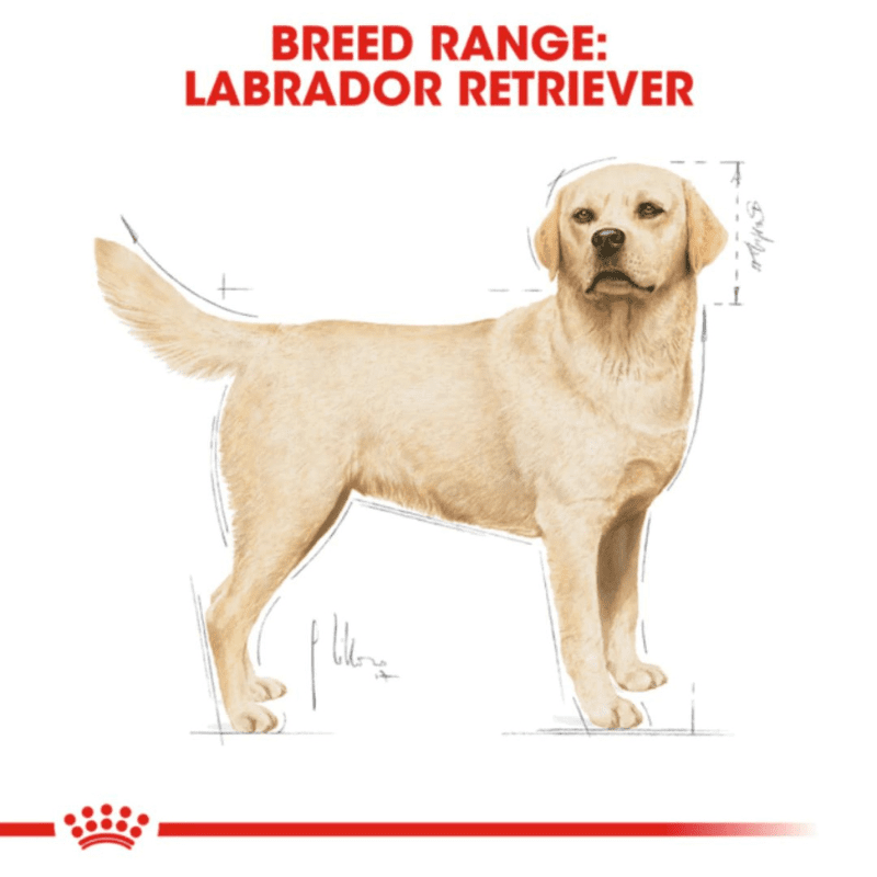 Royal Canin Breed Health Nutrition Labrador Retriever Adult Dry Dog Food - Breed