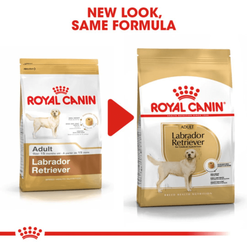 Royal Canin Breed Health Nutrition Labrador Retriever Adult Dry Dog Food - Combination