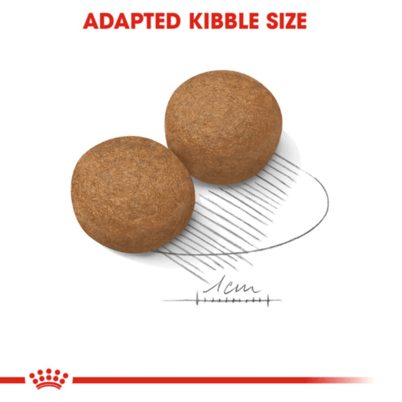 Royal Canin Size Health Nutrition Maxi Adult Dry Dog Food - Kibbles