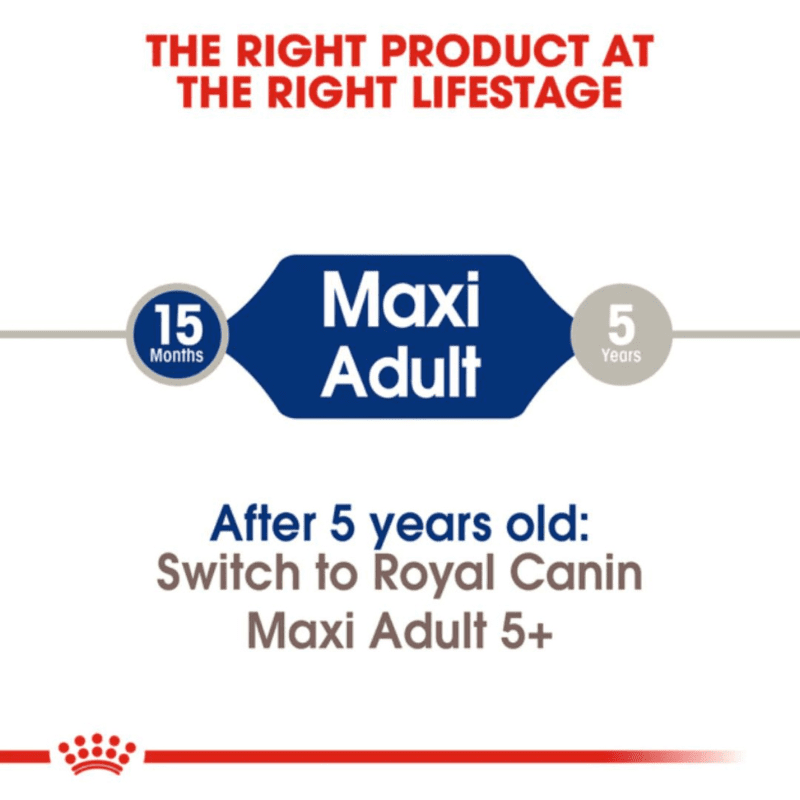 Royal Canin Size Health Nutrition Maxi Adult Dry Dog Food - Right product