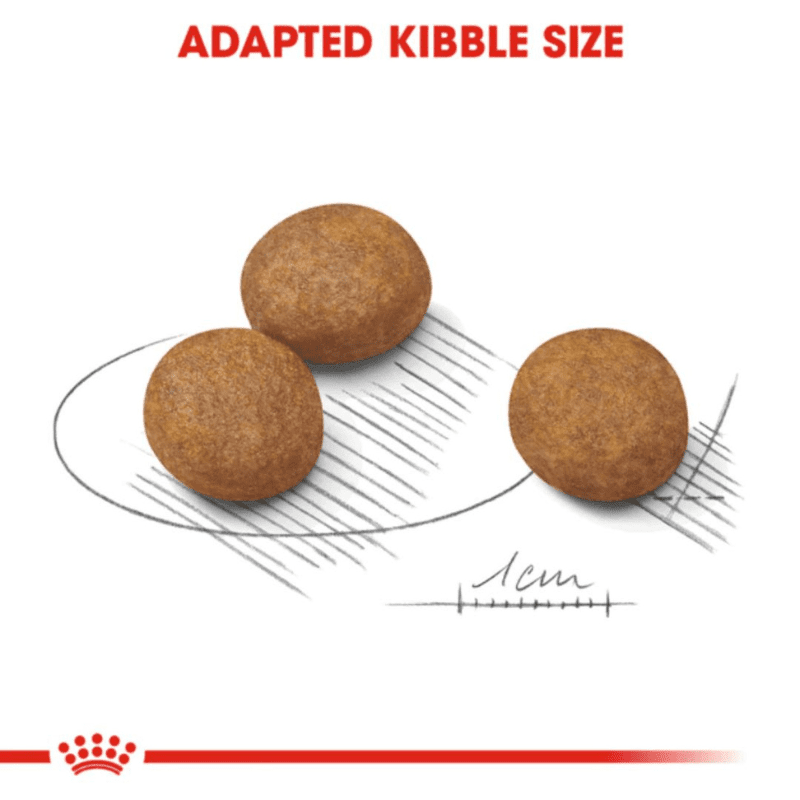 Royal Canin Size Health Nutrition Maxi Puppy Dry Dog Food - Kibble