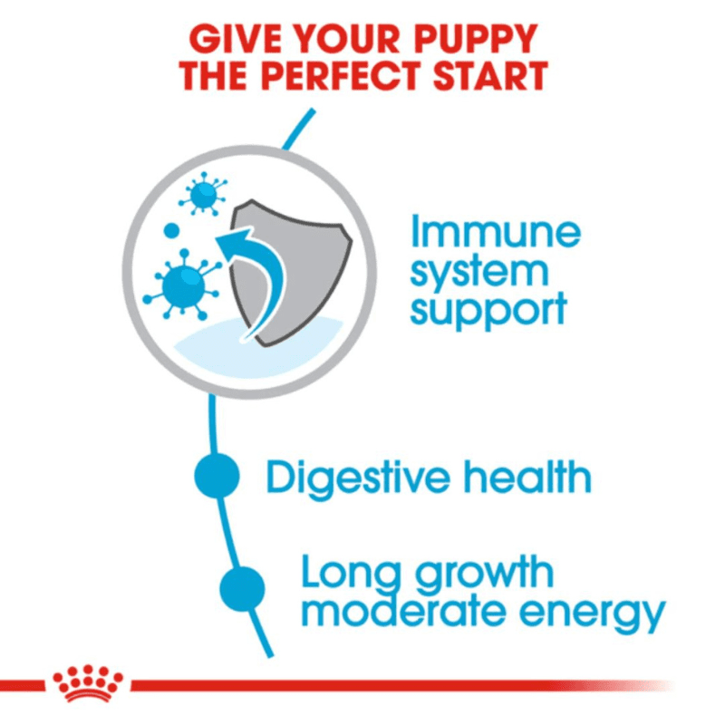 Royal Canin Size Health Nutrition Maxi Puppy Dry Dog Food - Perfect Start