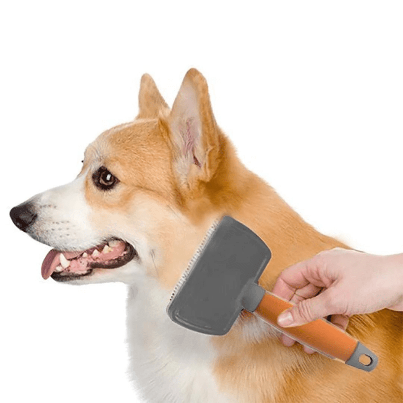 Wahl Premium Slicker Brush For Dogs (Large) - Information