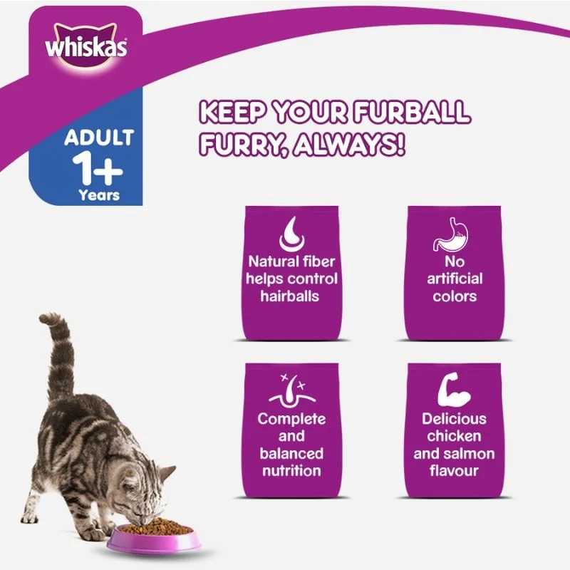Whiskas Dry Cat Food for Adult Cats (1+ Years), For Healthy Skin & Coat - Information