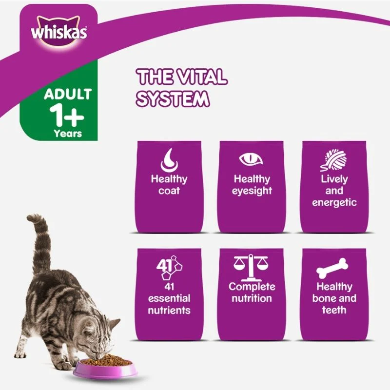 Whiskas Dry Cat Food for Adult Cats (1+ Years), Tuna Flavour - Features
