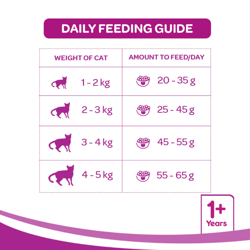 Whiskas Dry Cat Food for Adult Cats (1+ Years), Tuna Flavour - Guide