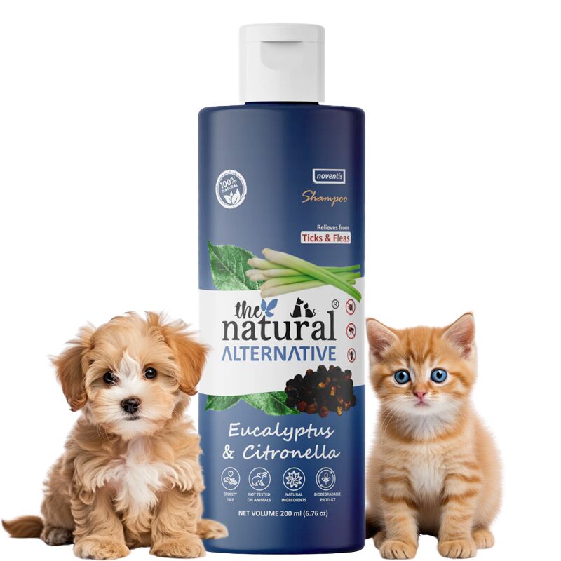 Natural Alternative Anti-Tick Eucalyptus & Citronella Herbal Dog Shampoo Anti-Tick Herbal Dog Shampoo with Eucalyptus and Citronella