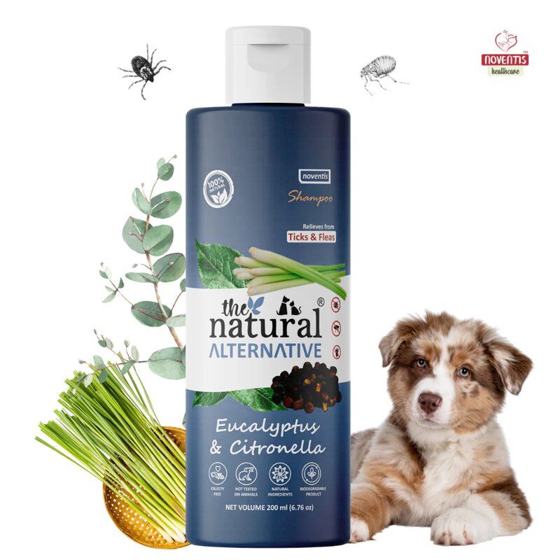 04 UThe Natural Alternative Anti-Tick Eucalyptus & Citronella Herbal Dog Shampoo erbal Dog Shampoo to Repel Ticks and Fleas