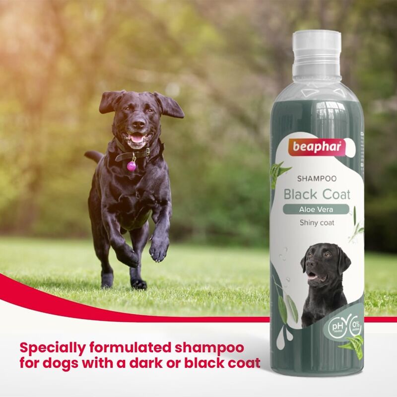 Beaphar Black Coat Dog Shampoo with Aloe Vera Beaphar Black Coat Dog Shampoo with Aloe Vera