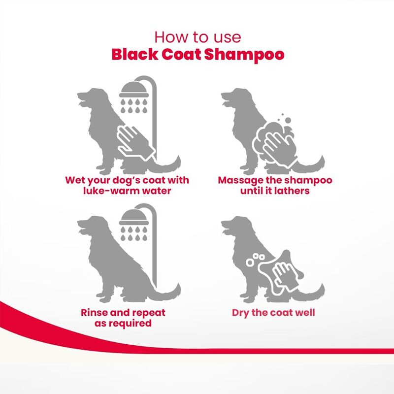 Beaphar Black Coat Dog Shampoo with Aloe Vera How to use Beaphar Black Coat Dog Shampoo with Aloe Vera