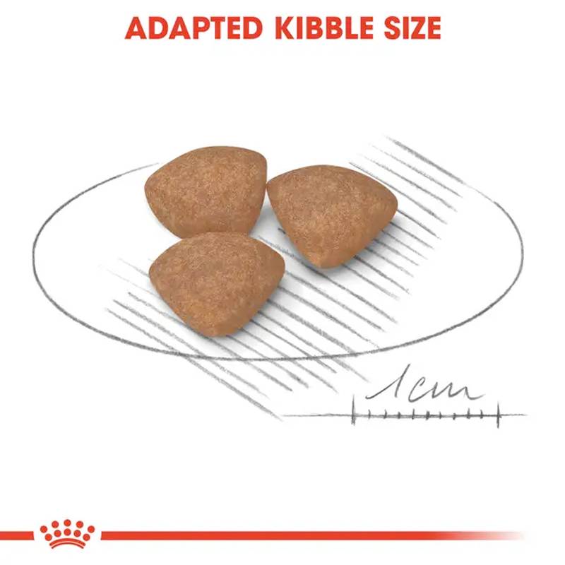 Royal Canin Mini Puppy Dry Food For Dog Royal Canin Mini Puppy Dry Dog Food