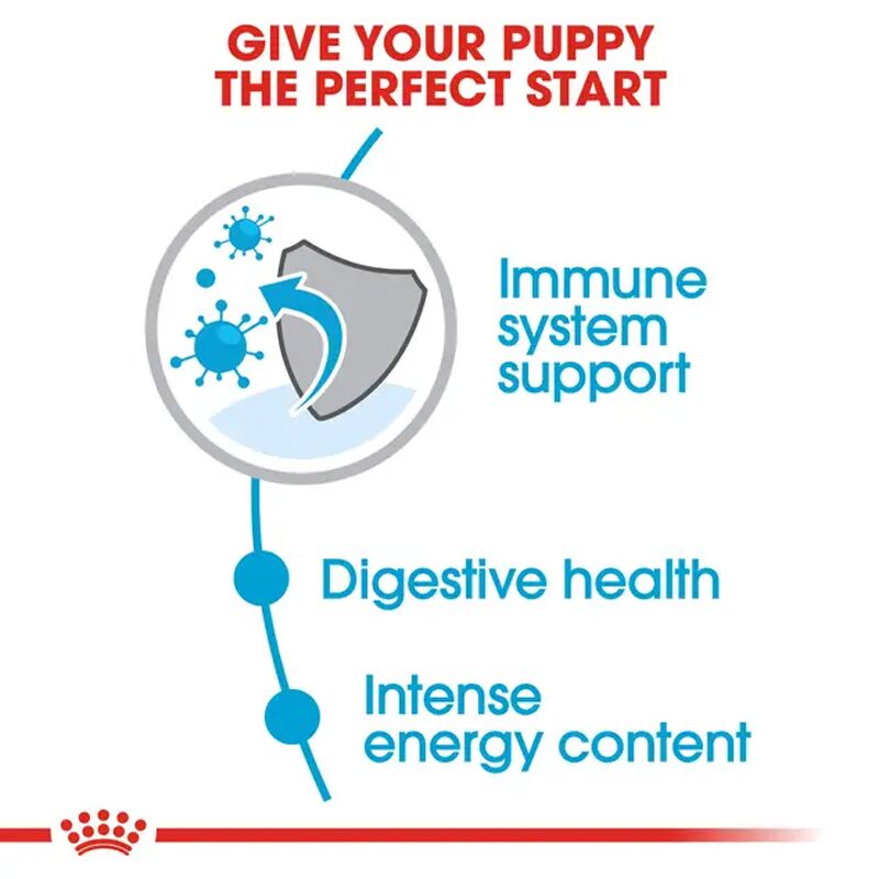Royal Canin Mini Puppy Small breed puppy food
