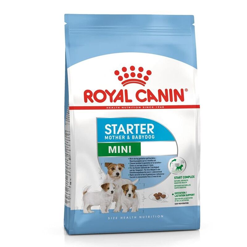 Royal Canin Mini Starter 1Kg – Dry Food for Mother & Babydog | Supports Immunity & Digestion Royal Canin Mini Starter Mother and Babydog Dry Food