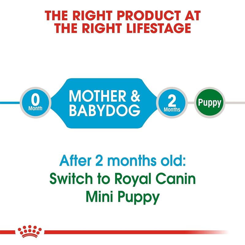 Royal Canin Mini Starter for puppies Mother and Babydog Food