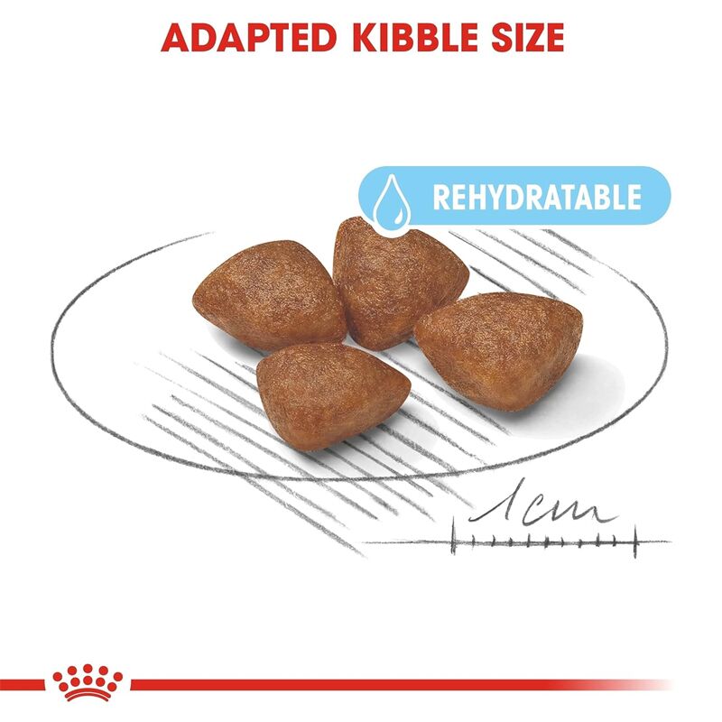 Royal Canin Mini Starter Dog food for lactating mothers