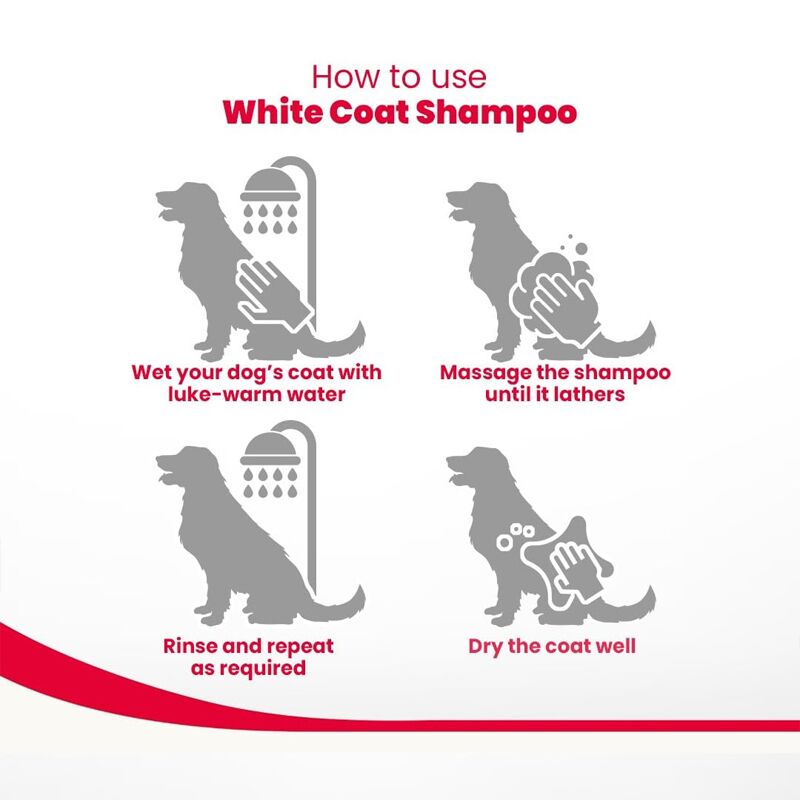 Beaphar White Dog Shampoo with Green Tea Extract Beaphar White Dog Shampoo with Green Tea Extract
