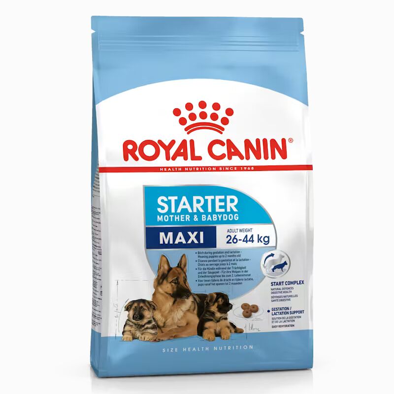 Royal Canin Maxi Starter Dry Food in Jalandhar & Chandigarh Royal Canin Maxi Starter Dry Food in Jalandhar & Chandigarh