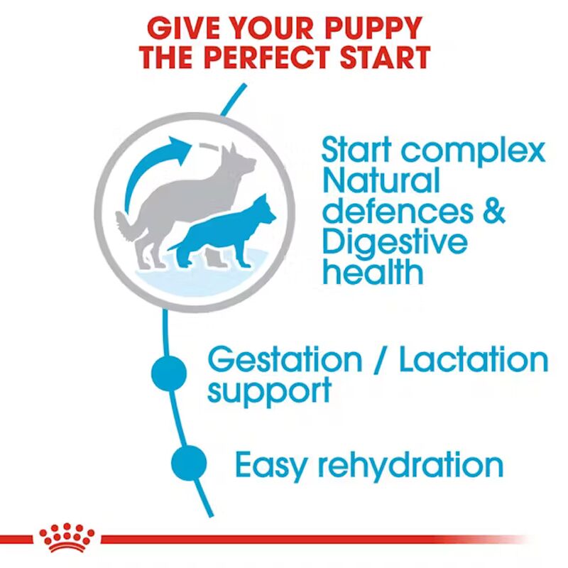 Royal Canin Maxi Starter Dry Food in Jalandhar & Chandigarh Royal Canin Maxi Starter Dry Food in Jalandhar & Chandigarh